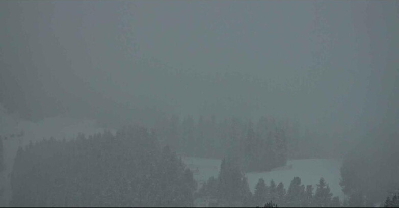 Webcam Alpe-Cermis - Seggiovia Costabella