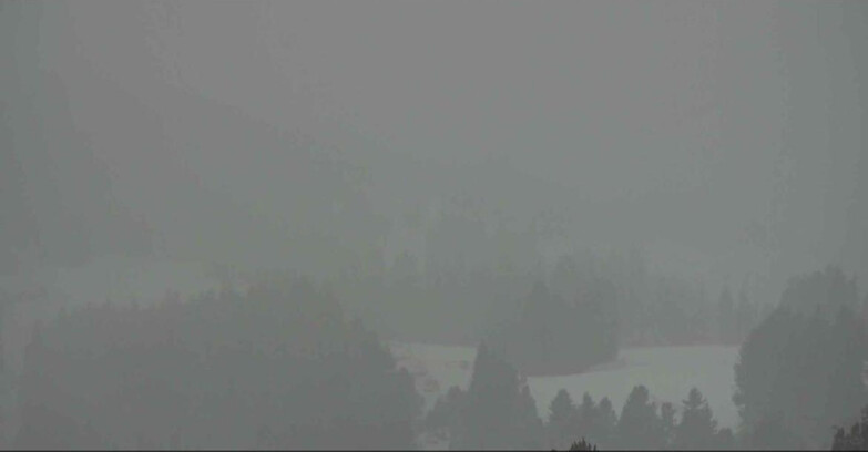 Webcam Alpe Cermis  - Seggiovia Lagorai