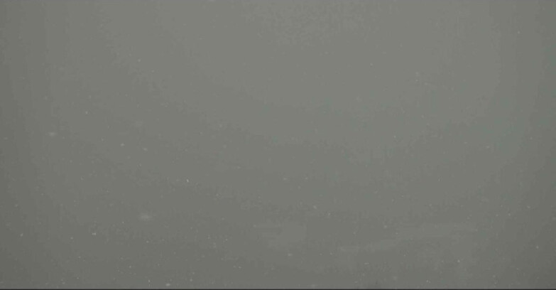 Webcam Alpe Cermis  - Seggiovia Lagorai