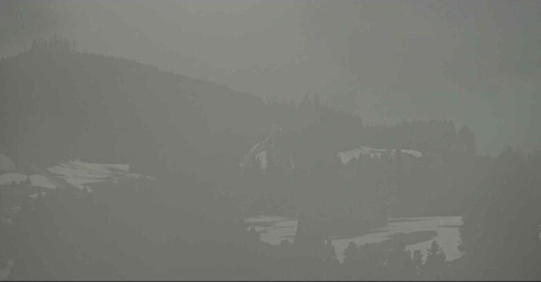 Webcam Alpe Cermis  - Seggiovia Lagorai