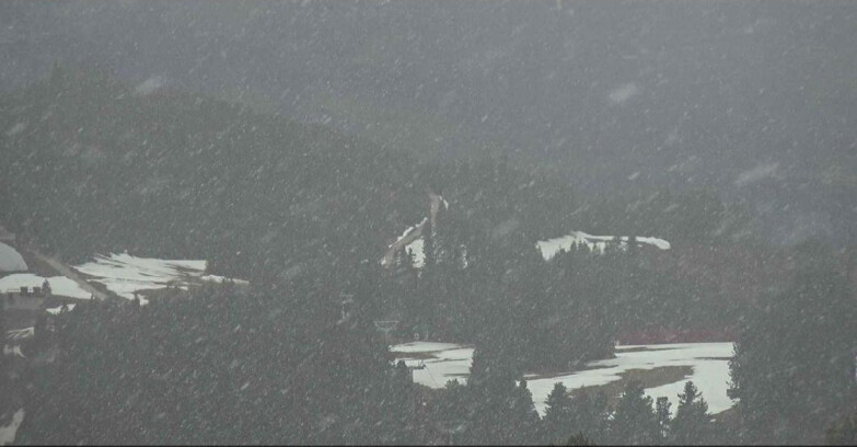 Webcam Alpe Cermis  - Seggiovia Lagorai