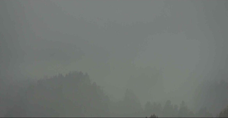 Webcam Alpe Cermis  - Seggiovia Lagorai