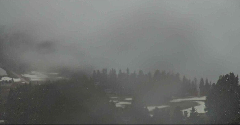 Webcam Alpe-Cermis - Seggiovia Costabella