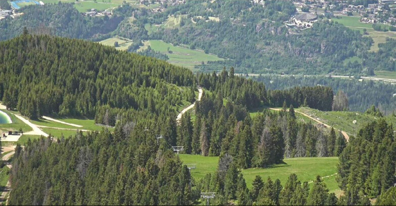 Webcam Alpe Cermis  - Seggiovia Lagorai