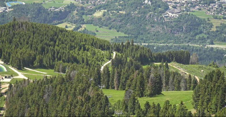 Webcam Alpe Cermis  - Chair lift Lagorai