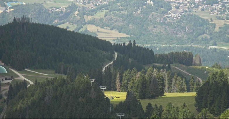 Webcam Alpe Cermis - Seggiovia Lagorai