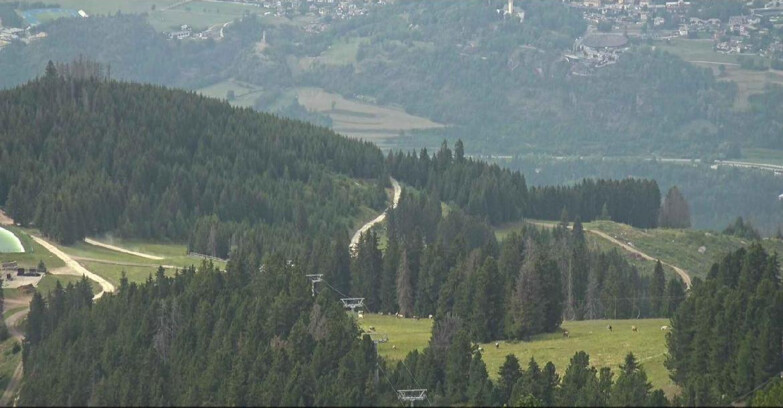 Webcam Alpe Cermis - Seggiovia Lagorai