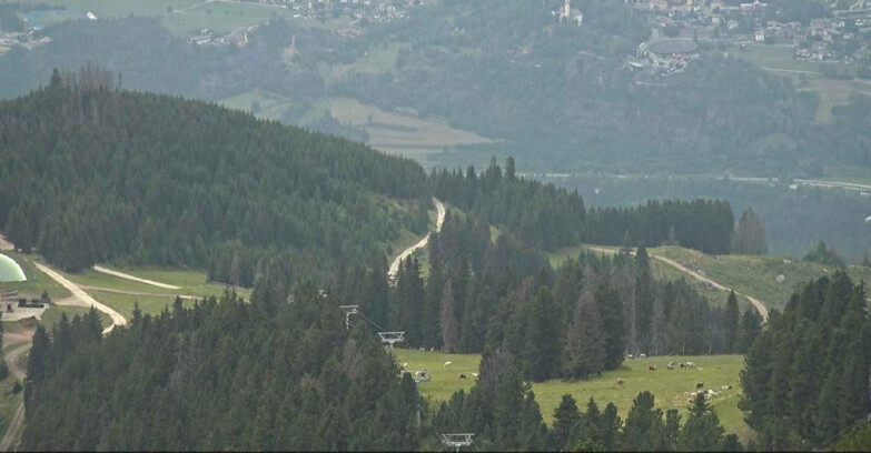 Webcam Alpe Cermis - Seggiovia Lagorai