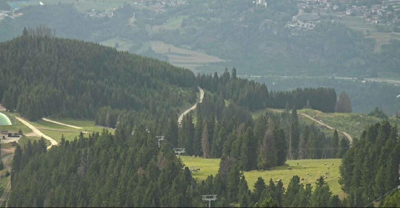 Webcam Alpe Cermis - Seggiovia Lagorai