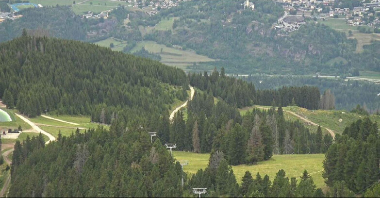 Webcam Alpe Cermis - Lagorai Sesselbahn
