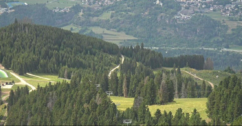 Webcam Alpe Cermis - Lagorai Sesselbahn