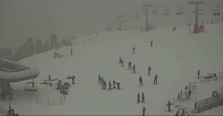 Webcam Alpe-Cermis - Seggiovia e pista Lagorai
