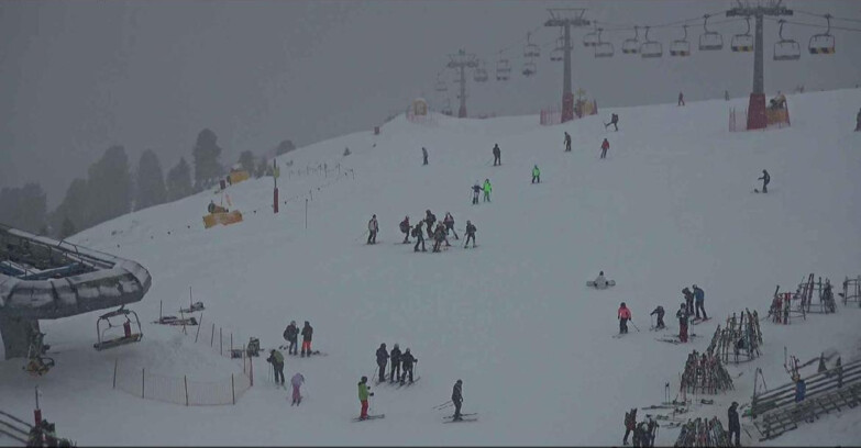 Webcam Alpe-Cermis - Seggiovia e pista Lagorai