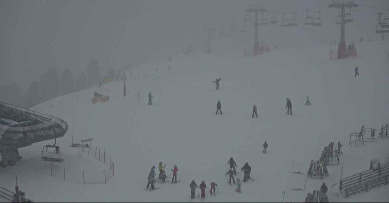 Webcam Alpe-Cermis - Seggiovia e pista Lagorai