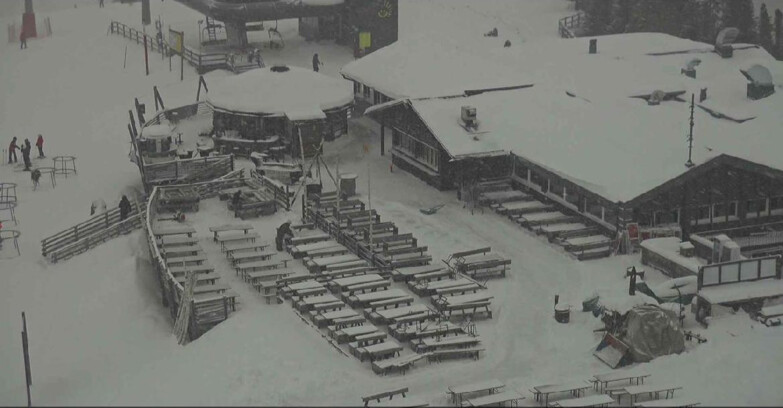 Webcam Alpe-Cermis - Seggiovia e pista Lagorai