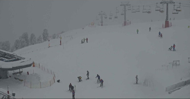 Webcam Alpe-Cermis - Seggiovia e pista Lagorai