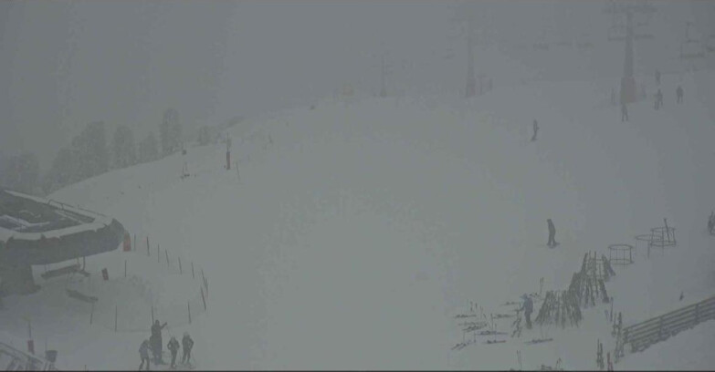 Webcam Alpe-Cermis - Seggiovia e pista Lagorai