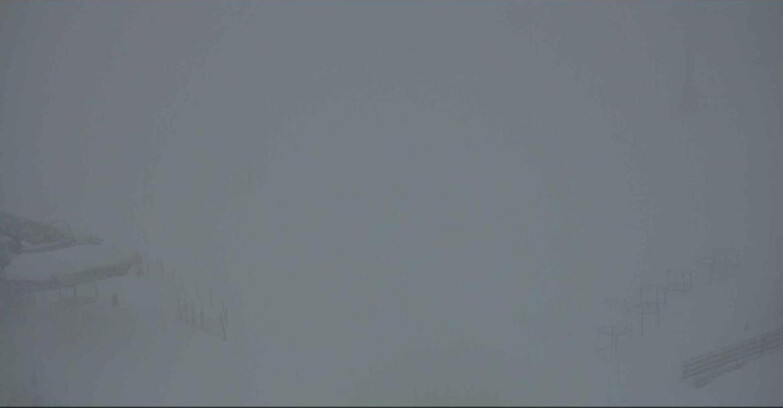 Webcam Alpe-Cermis - Seggiovia e pista Lagorai