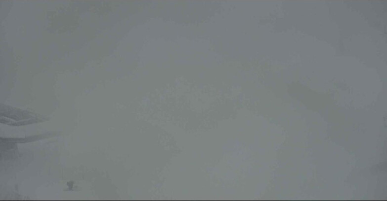 Webcam Alpe-Cermis - Seggiovia e pista Lagorai