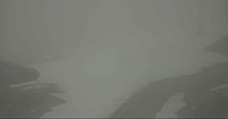 Webcam Alpe-Cermis - Seggiovia e pista Lagorai
