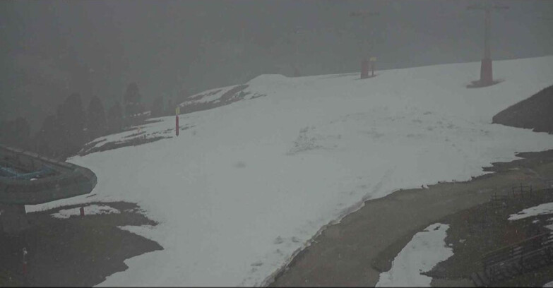 Webcam Alpe-Cermis - Seggiovia e pista Lagorai
