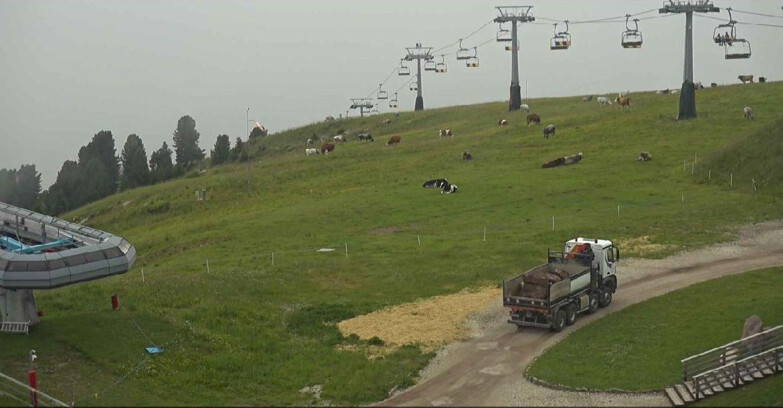 Webcam Alpe-Cermis - Seggiovia e pista Lagorai