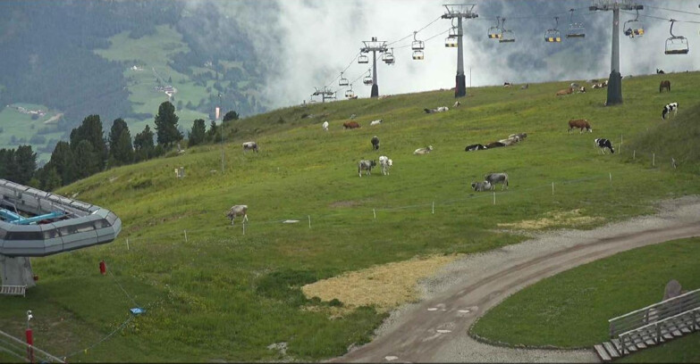 Webcam Alpe-Cermis - Seggiovia e pista Lagorai