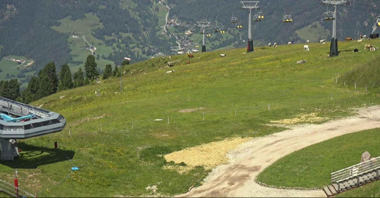 Webcam Alpe-Cermis - Seggiovia e pista Lagorai