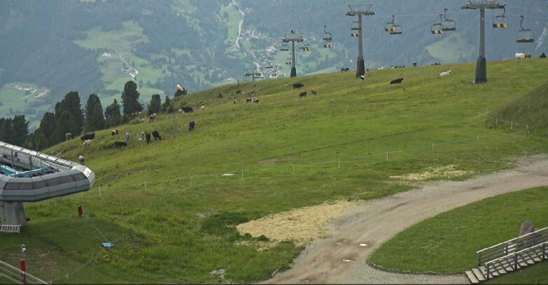 Webcam Alpe-Cermis - Seggiovia e pista Lagorai