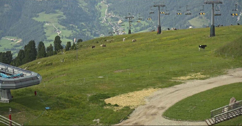 Webcam Alpe-Cermis - Seggiovia e pista Lagorai