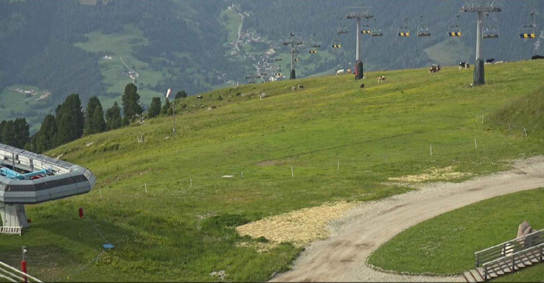Webcam Alpe-Cermis - Seggiovia e pista Lagorai