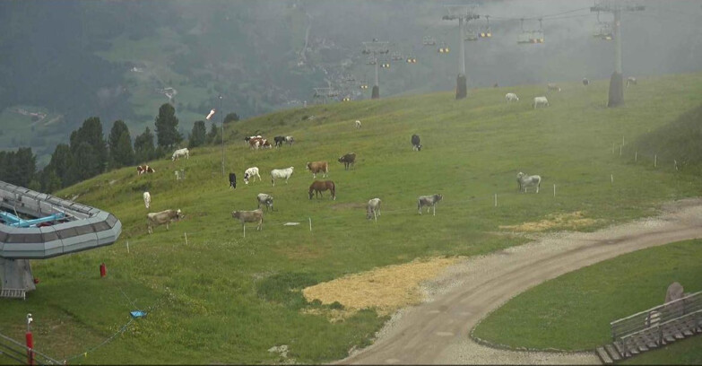 Webcam Alpe-Cermis - Seggiovia e pista Lagorai