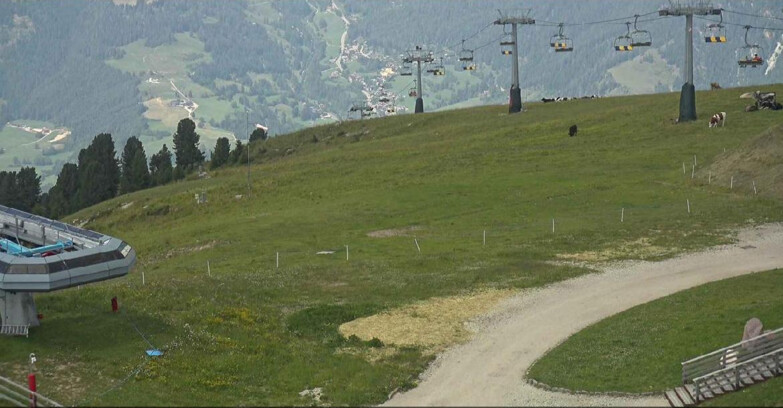 Webcam Alpe Cermis  - Chairlift and slope Lagorai