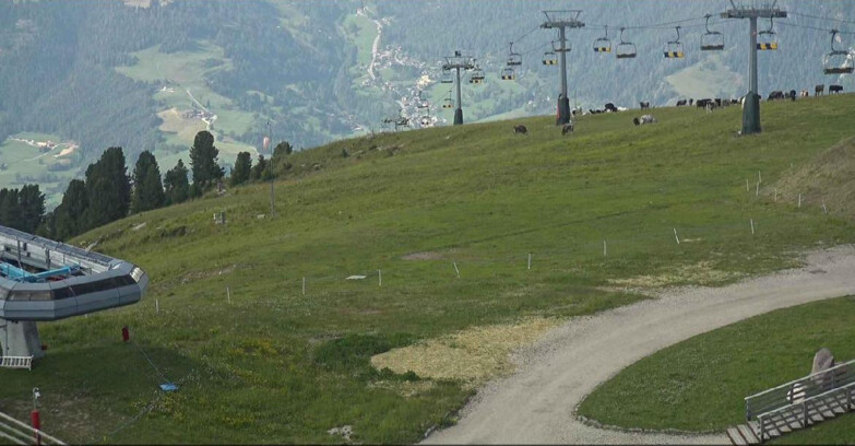 Webcam Alpe Cermis  - Chairlift and slope Lagorai