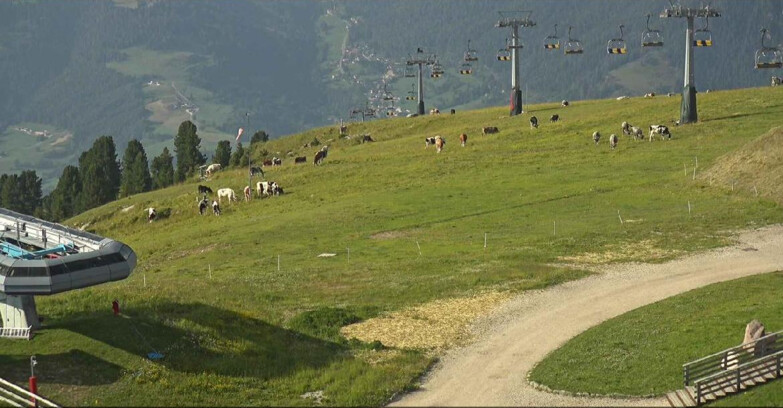 Webcam Alpe Cermis  - Chairlift and slope Lagorai