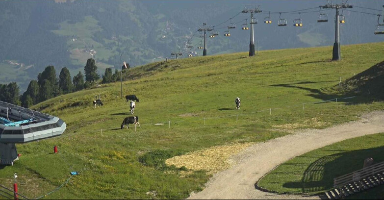 Webcam Alpe Cermis  - Chairlift and slope Lagorai