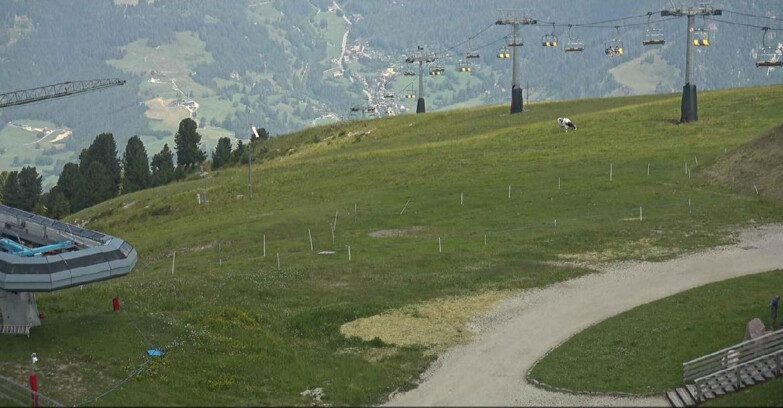 Webcam Alpe Cermis  - Chairlift and slope Lagorai