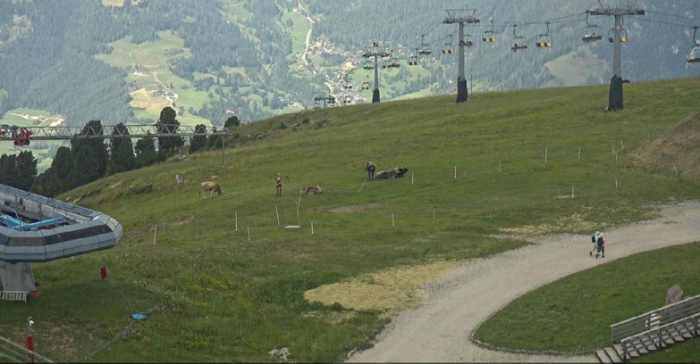 Webcam Alpe Cermis  - Chairlift and slope Lagorai