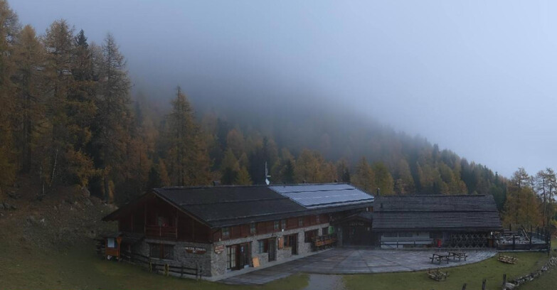Webcam Пейо 3000 - Rifugio Scoiattolo