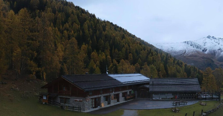 Webcam Пейо 3000 - Rifugio Scoiattolo
