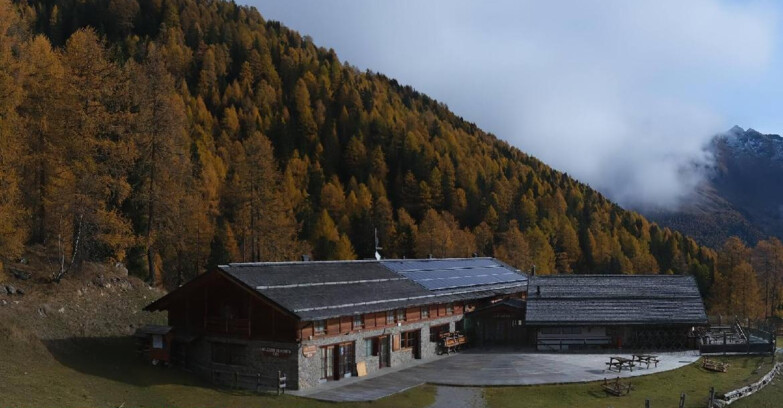 Webcam Pejo 3000 - Rifugio Scoiattolo