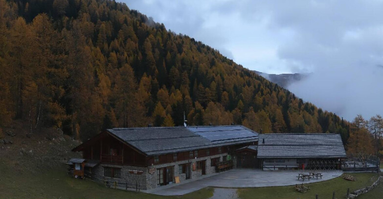 Webcam Pejo 3000 - Rifugio Scoiattolo