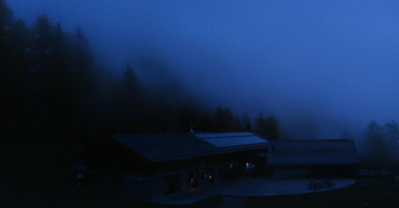 Webcam Pejo 3000 - Rifugio Scoiattolo