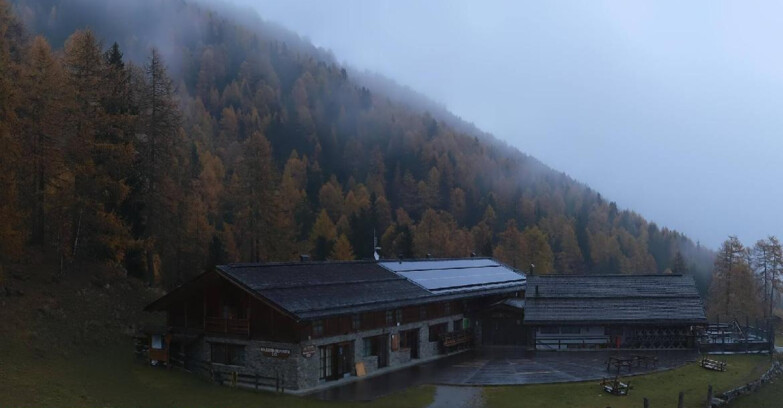 Webcam Pejo 3000 - Rifugio Scoiattolo
