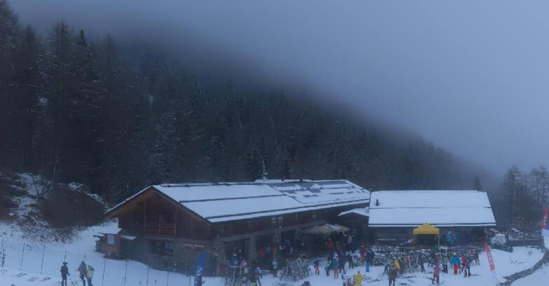 Webcam Pejo 3000 - Scoiattolo Berghütte