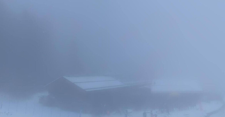 Webcam Pejo 3000 - Scoiattolo Berghütte