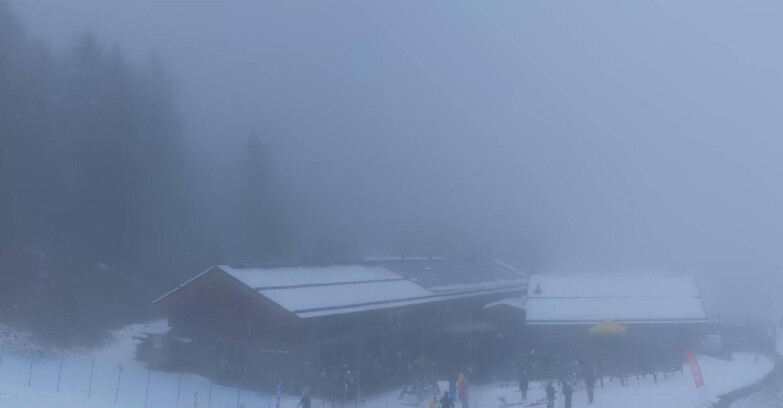 Webcam Pejo 3000 - Scoiattolo Berghütte