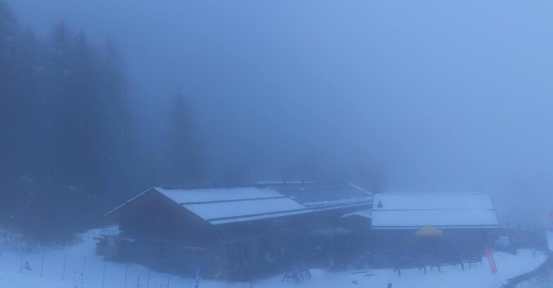 Webcam Pejo 3000 - Scoiattolo Berghütte