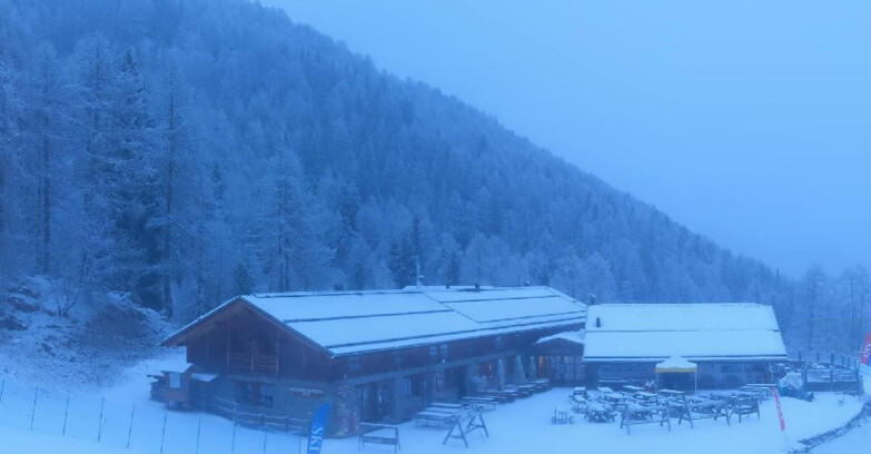 Webcam Pejo 3000 - Scoiattolo Berghütte