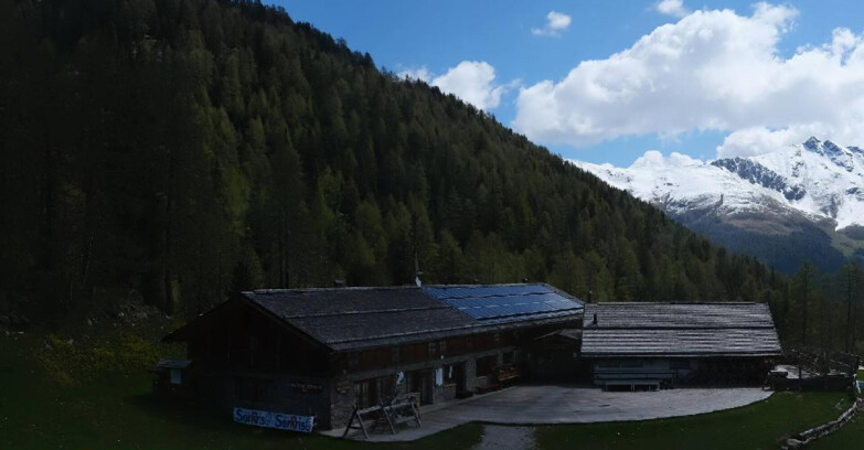 Webcam Pejo 3000 - Rifugio Scoiattolo